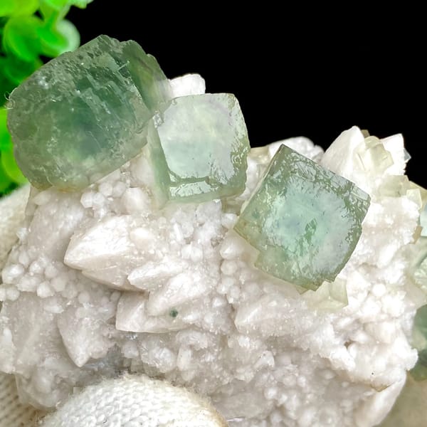 Sea-green fluorite cubes crowning white quartz cluster from Inner Mongolia, China, close-up of the crystal faces