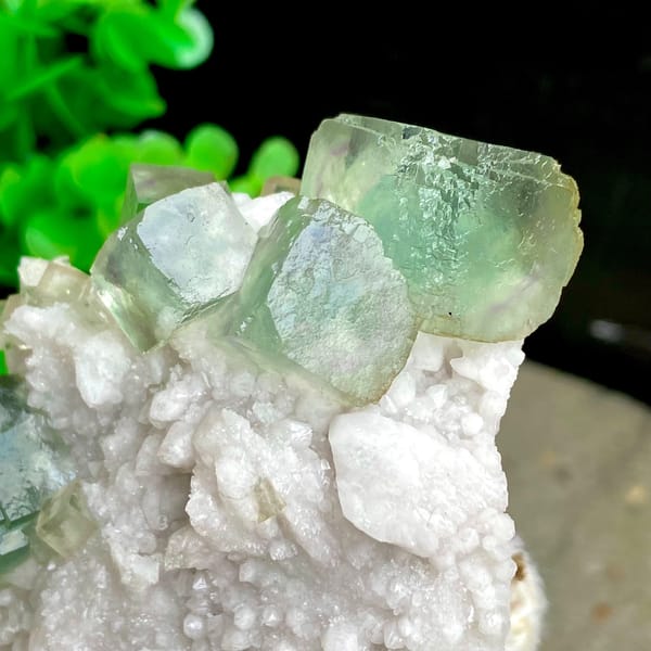 Sea-green fluorite cubes crowning white quartz cluster from Inner Mongolia, China, reverse side