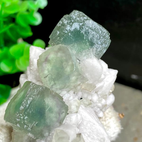 Sea-green fluorite cubes crowning white quartz cluster from Inner Mongolia, China, detail of the matrix contact