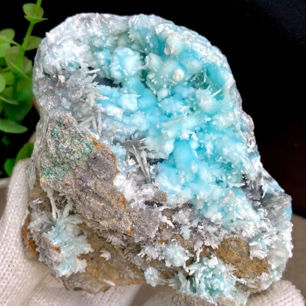 Sky-blue botryoidal aragonite over white needles from Yunnan, China, reverse side