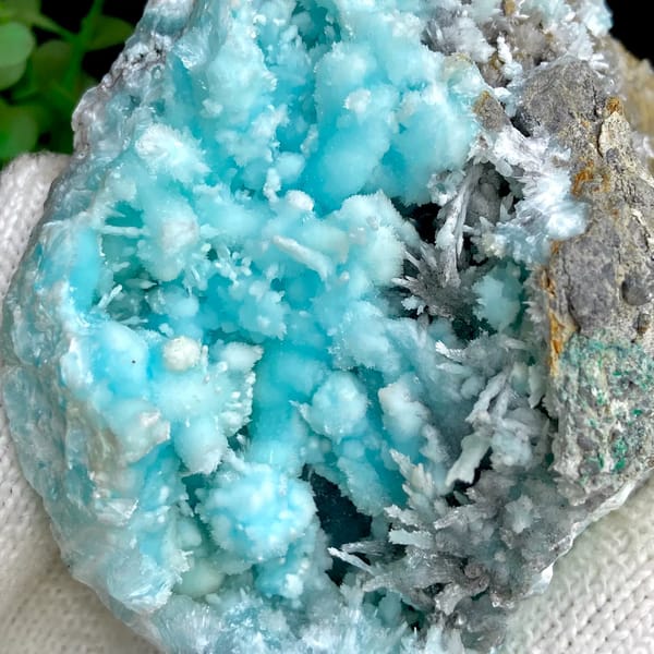 Sky-blue botryoidal aragonite over white needles from Yunnan, China, top view