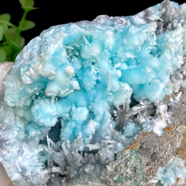 Sky-blue botryoidal aragonite over white needles from Yunnan, China, overall view