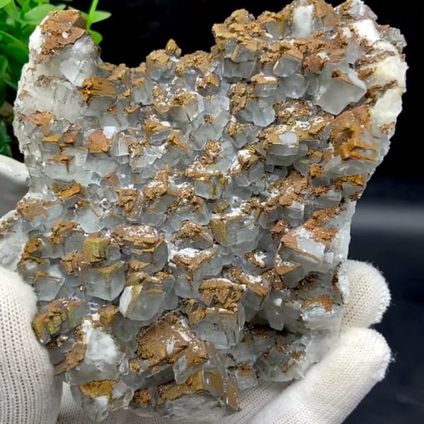 Plate of pale pyramid calcite coated in rusty iridescent pyrite from Hunan, China, held in gloved hand
