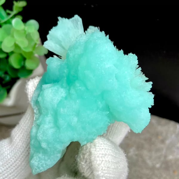 Two-tone mint and pale blue acicular aragonite from Sichuan, China, reverse side