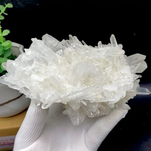Cluster of clear double-terminated quartz needles from Jinkouhe, Sichuan, China, held in gloved hand