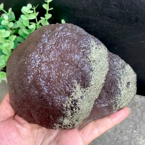 Plum-purple botryoidal fluorite ball dusted with pyrite from Jiangxi, China, held in gloved hand