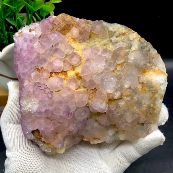 Plate of lavender botryoidal fluorite from Guizhou, China, held in gloved hand