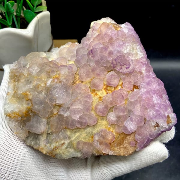 Plate of lavender botryoidal fluorite from Guizhou, China, overall view