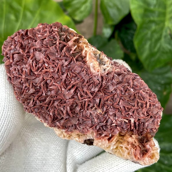 Two-tone red-and-white dolomite plate from Guizhou, China, second angle