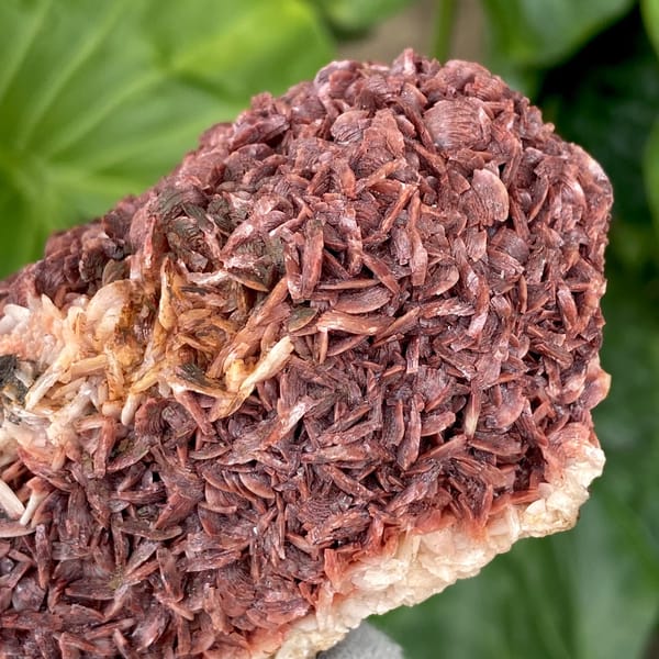 Two-tone red-and-white dolomite plate from Guizhou, China, top view