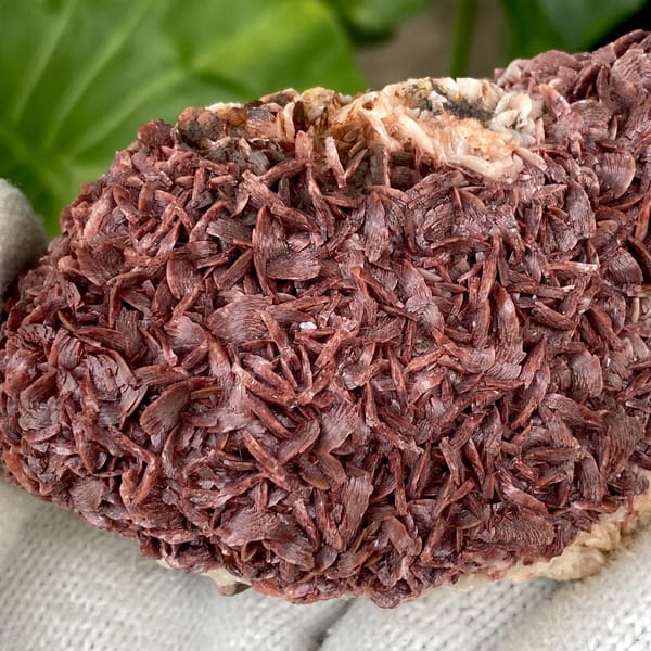 Two-tone red-and-white dolomite plate from Guizhou, China, detail of the matrix contact