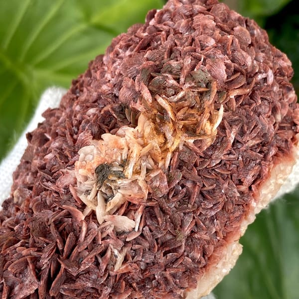 Two-tone red-and-white dolomite plate from Guizhou, China, side view