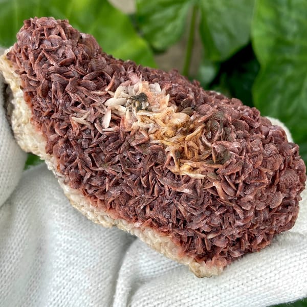 Two-tone red-and-white dolomite plate from Guizhou, China, overall view