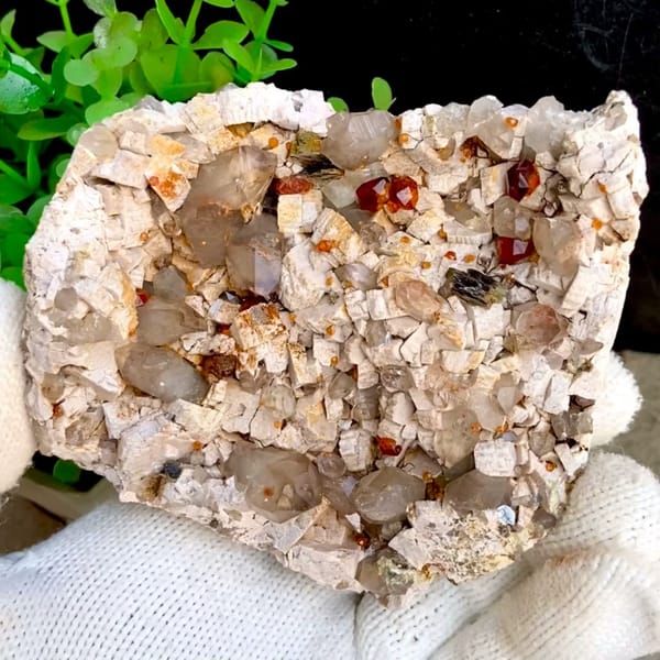 Wine-red garnets scattered over pale quartz plate from Fujian, China, held in gloved hand