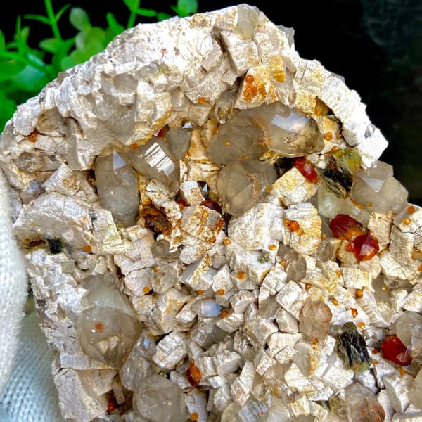Wine-red garnets scattered over pale quartz plate from Fujian, China, close-up of the crystal faces