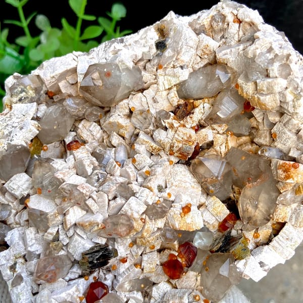 Wine-red garnets scattered over pale quartz plate from Fujian, China, side view