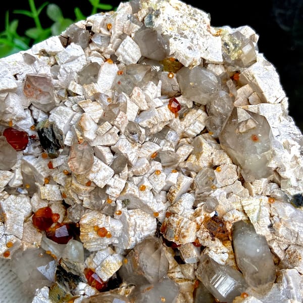 Wine-red garnets scattered over pale quartz plate from Fujian, China, close-up of terminations