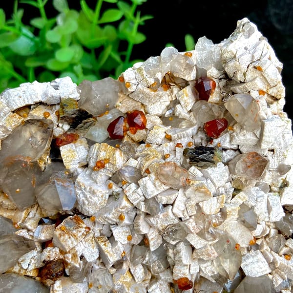 Wine-red garnets scattered over pale quartz plate from Fujian, China, overall view