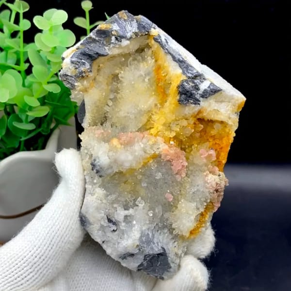 Platy rhodochrosite in quartz pocket rimmed by dark sulfide from Guangxi, China, held in gloved hand