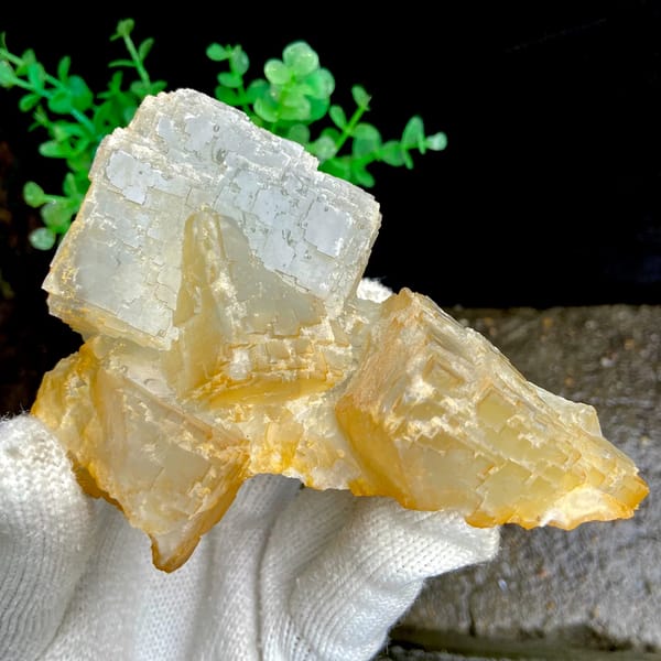 Pale stepped fluorite cube with honey-yellow edges from Hunan, China, second angle