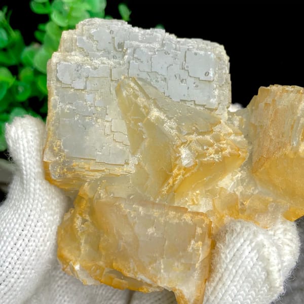 Pale stepped fluorite cube with honey-yellow edges from Hunan, China, close-up of the crystal faces