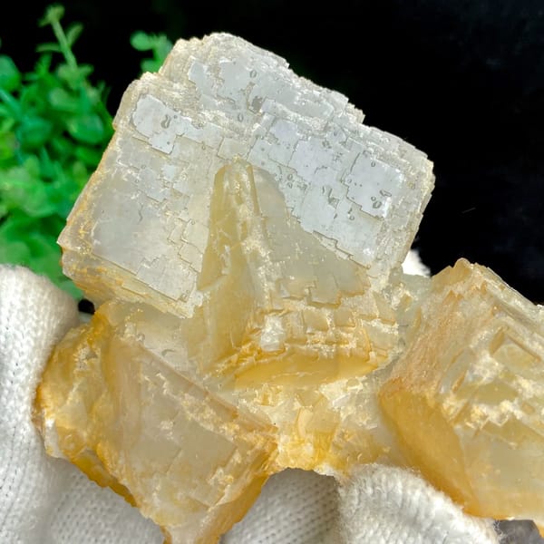 Pale stepped fluorite cube with honey-yellow edges from Hunan, China, reverse side