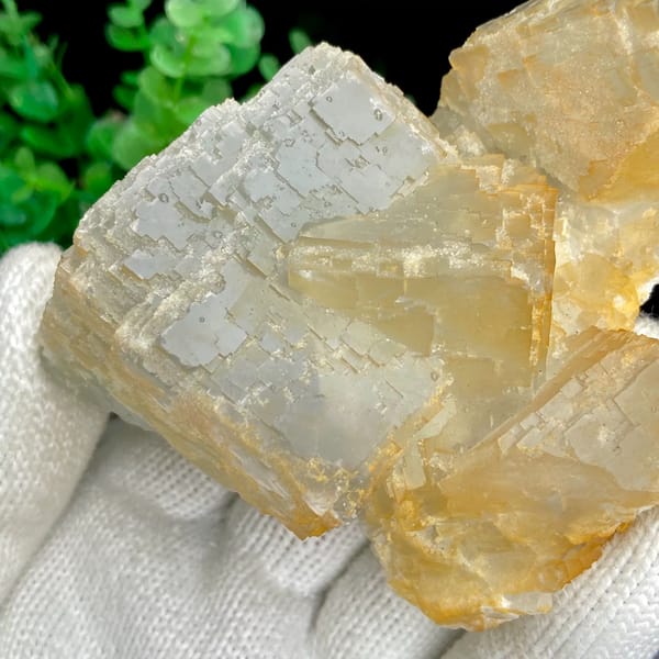 Pale stepped fluorite cube with honey-yellow edges from Hunan, China, detail of the matrix contact