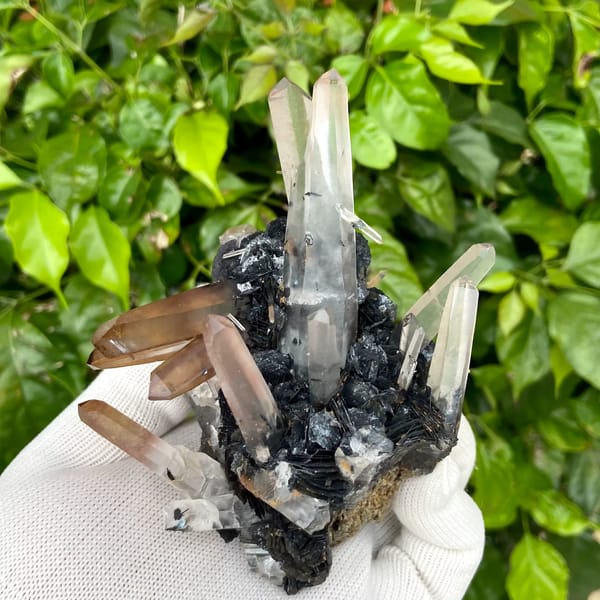 Pale pink quartz points standing on black specular hematite from Guangdong, China, second angle