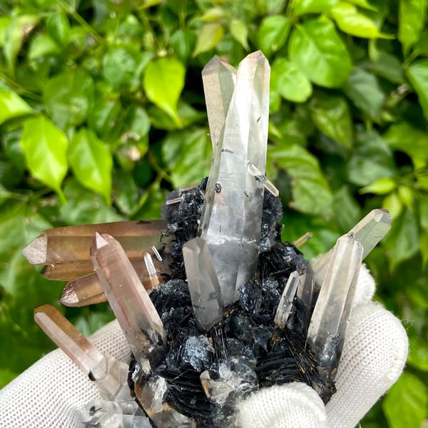 Pale pink quartz points standing on black specular hematite from Guangdong, China, close-up of the crystal faces