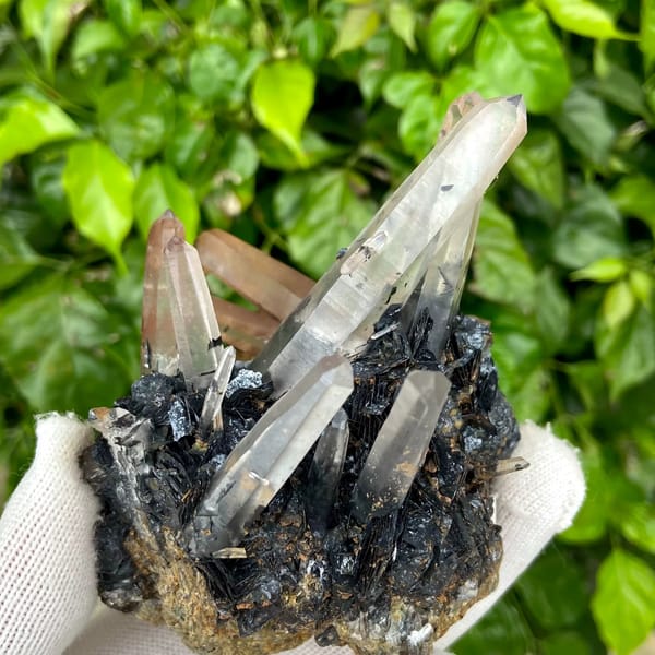 Pale pink quartz points standing on black specular hematite from Guangdong, China, reverse side