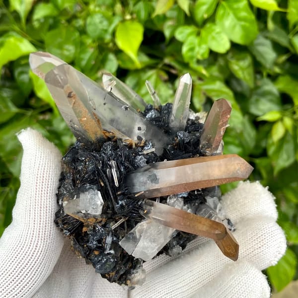 Pale pink quartz points standing on black specular hematite from Guangdong, China, side view