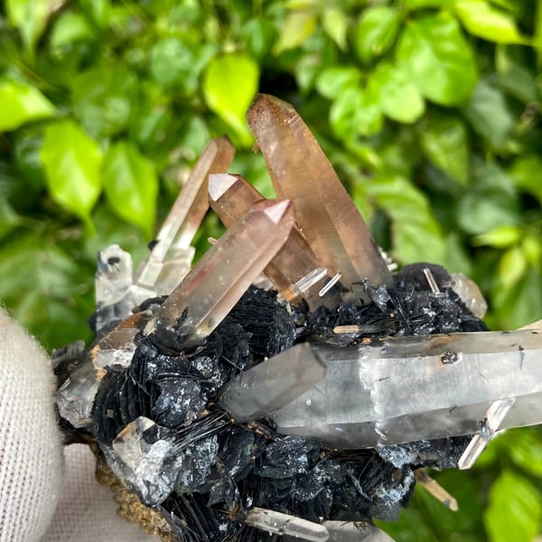 Pale pink quartz points standing on black specular hematite from Guangdong, China, overall view
