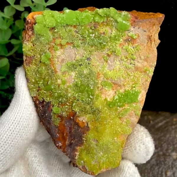 Lime-green botryoidal pyromorphite over rusty plate from Gongcheng, Guangxi, China, held in gloved hand
