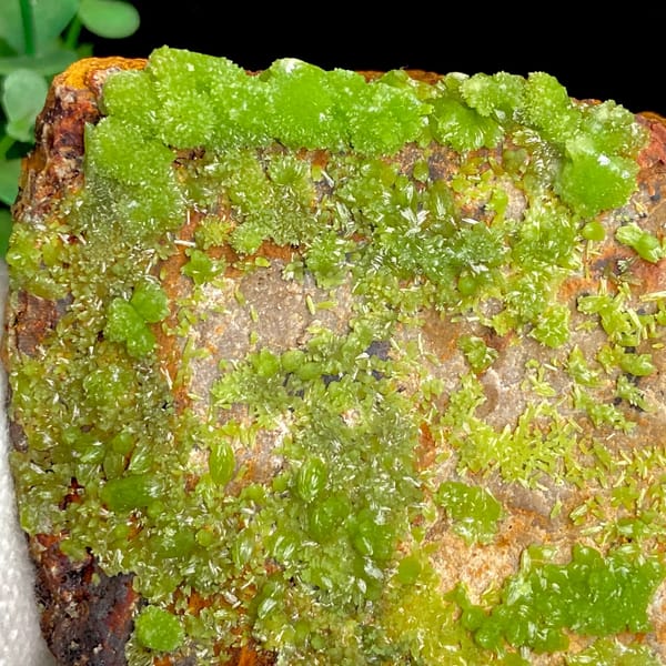 Lime-green botryoidal pyromorphite over rusty plate from Gongcheng, Guangxi, China, detail of the matrix contact
