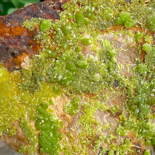 Lime-green botryoidal pyromorphite over rusty plate from Gongcheng, Guangxi, China, close-up of terminations