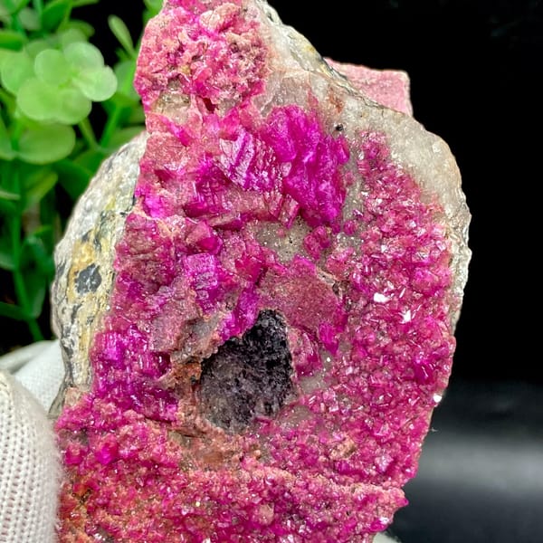 Plate of hot-pink cobaltoan calcite from DR Congo, second angle