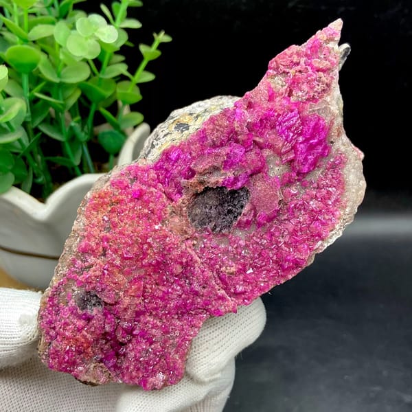 Plate of hot-pink cobaltoan calcite from DR Congo, close-up of the crystal faces