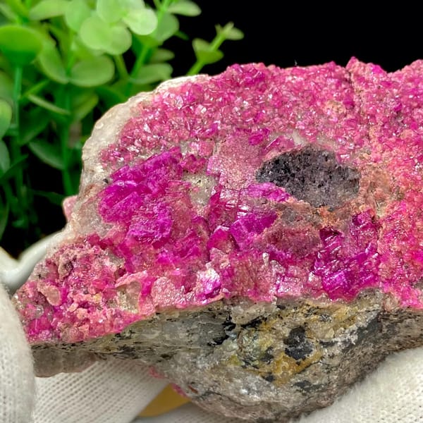 Plate of hot-pink cobaltoan calcite from DR Congo, reverse side