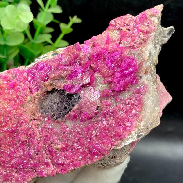 Plate of hot-pink cobaltoan calcite from DR Congo, top view