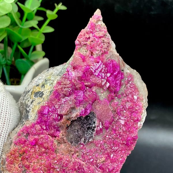 Plate of hot-pink cobaltoan calcite from DR Congo, detail of the matrix contact