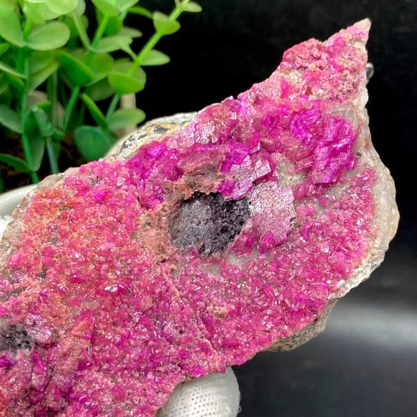 Plate of hot-pink cobaltoan calcite from DR Congo, side view