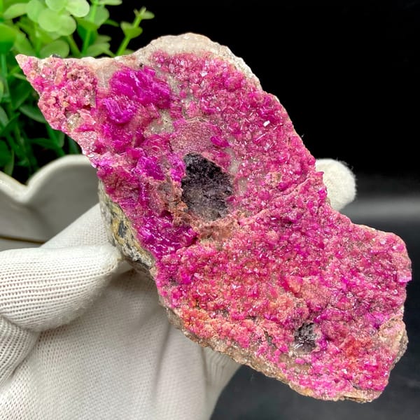 Plate of hot-pink cobaltoan calcite from DR Congo, close-up of terminations