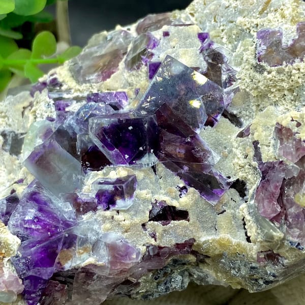 Transparent purple phantom fluorite cubes on tan matrix from Inner Mongolia, China, side view