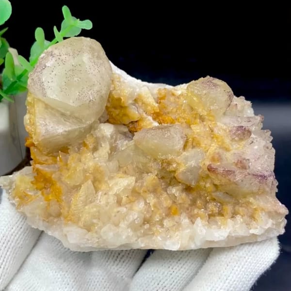 Pale calcite rhombs with yttrian fluorite on golden quartz from Guizhou, China, held in gloved hand