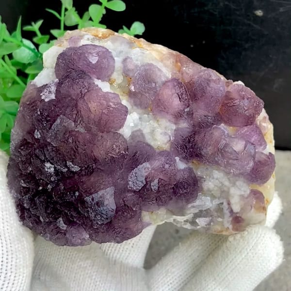 Dome of lavender botryoidal fluorite over quartz from Zhejiang, China, held in gloved hand