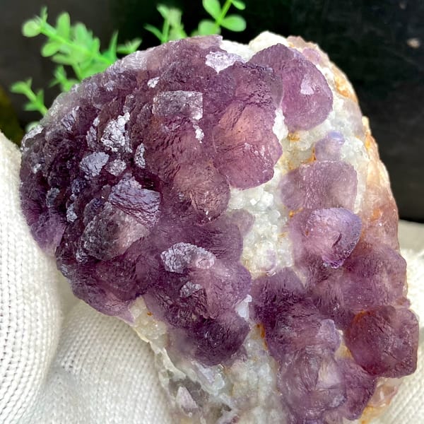 Dome of lavender botryoidal fluorite over quartz from Zhejiang, China, close-up of the crystal faces