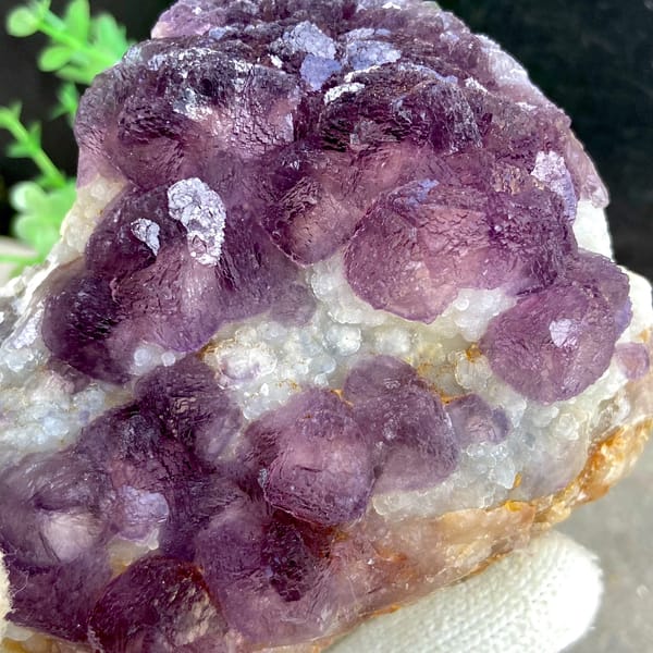 Dome of lavender botryoidal fluorite over quartz from Zhejiang, China, reverse side