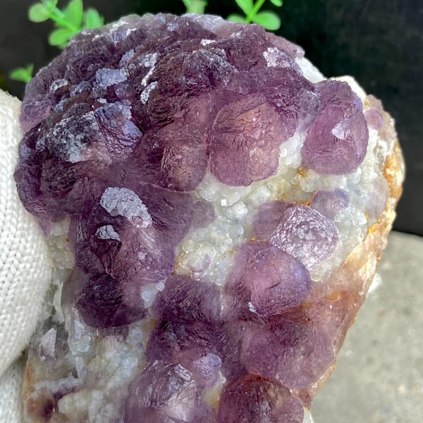 Dome of lavender botryoidal fluorite over quartz from Zhejiang, China, detail of the matrix contact