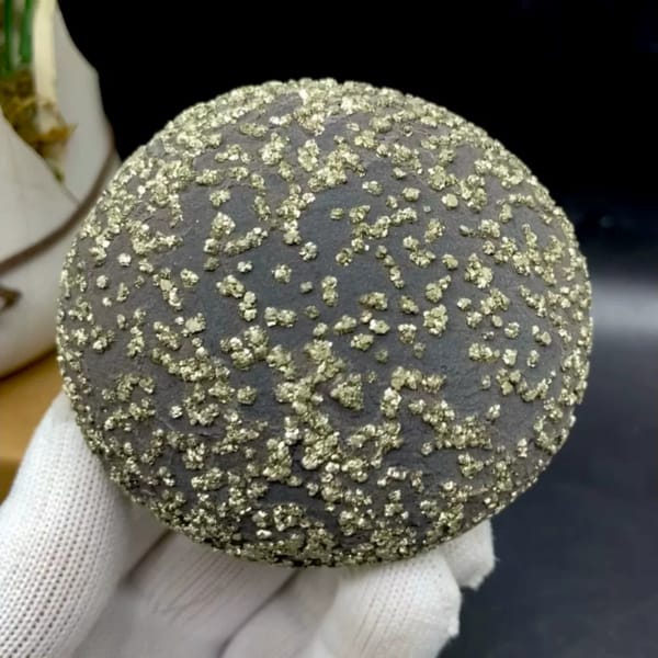 Dark iron concretion ball speckled with pyrite grains from Yunnan, China, held in gloved hand