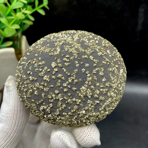 Dark iron concretion ball speckled with pyrite grains from Yunnan, China, reverse side